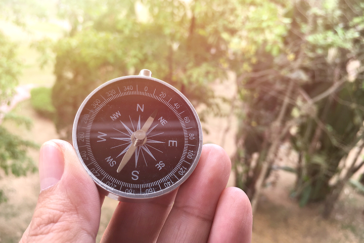 A man's hand holding a compass in front of a forest on a sunny day.