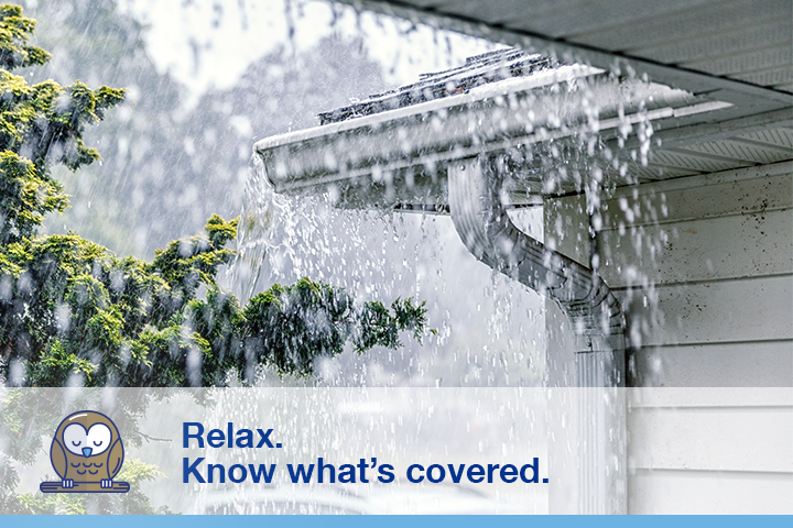 An eaves trough at the corner of a house, with a tree in the background, and a heavy downpour of rain falling. Image caption "Relax. Know what's covered" next to an illustration of an owl.