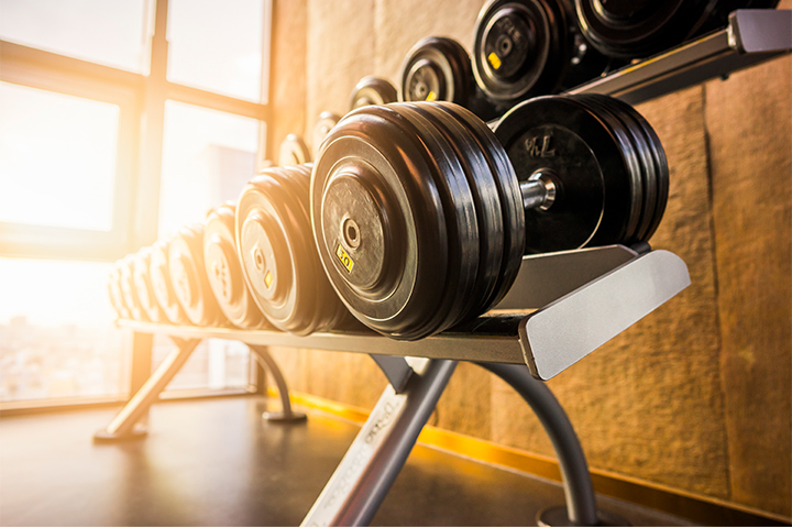 Rows of dumb bell weights on a shelf