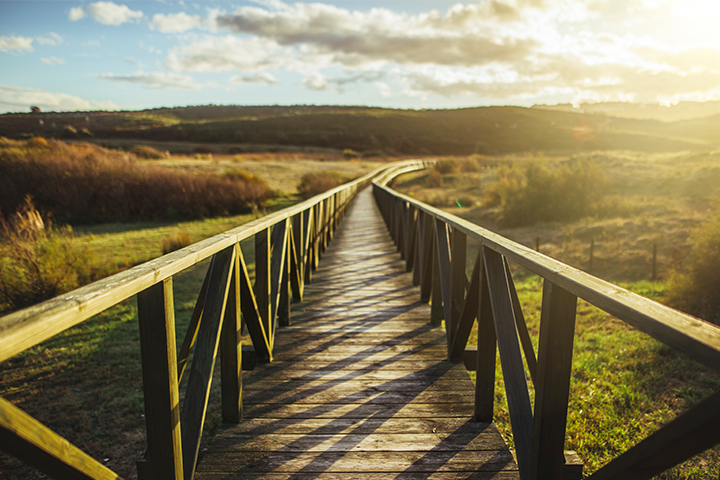 A wooden bridge spanning across a grassy field leading towards a sunny backdrop