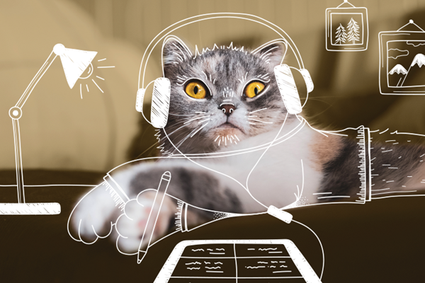 A wide-eyed cat, with illustrations of it wearing headphones, holding a pen with a tablet in front resting on a desk, suggesting it is learning online.