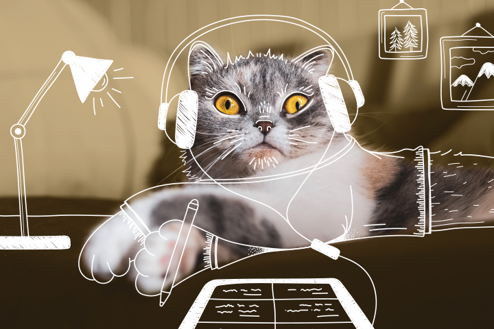 A wide-eyed cat, with illustrations of it wearing headphones, holding a pen with a tablet in front resting on a desk, suggesting it is learning online.